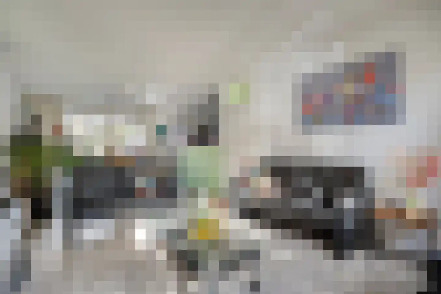 De Roerdomp 18 Dedemsvaart thumbnail 13