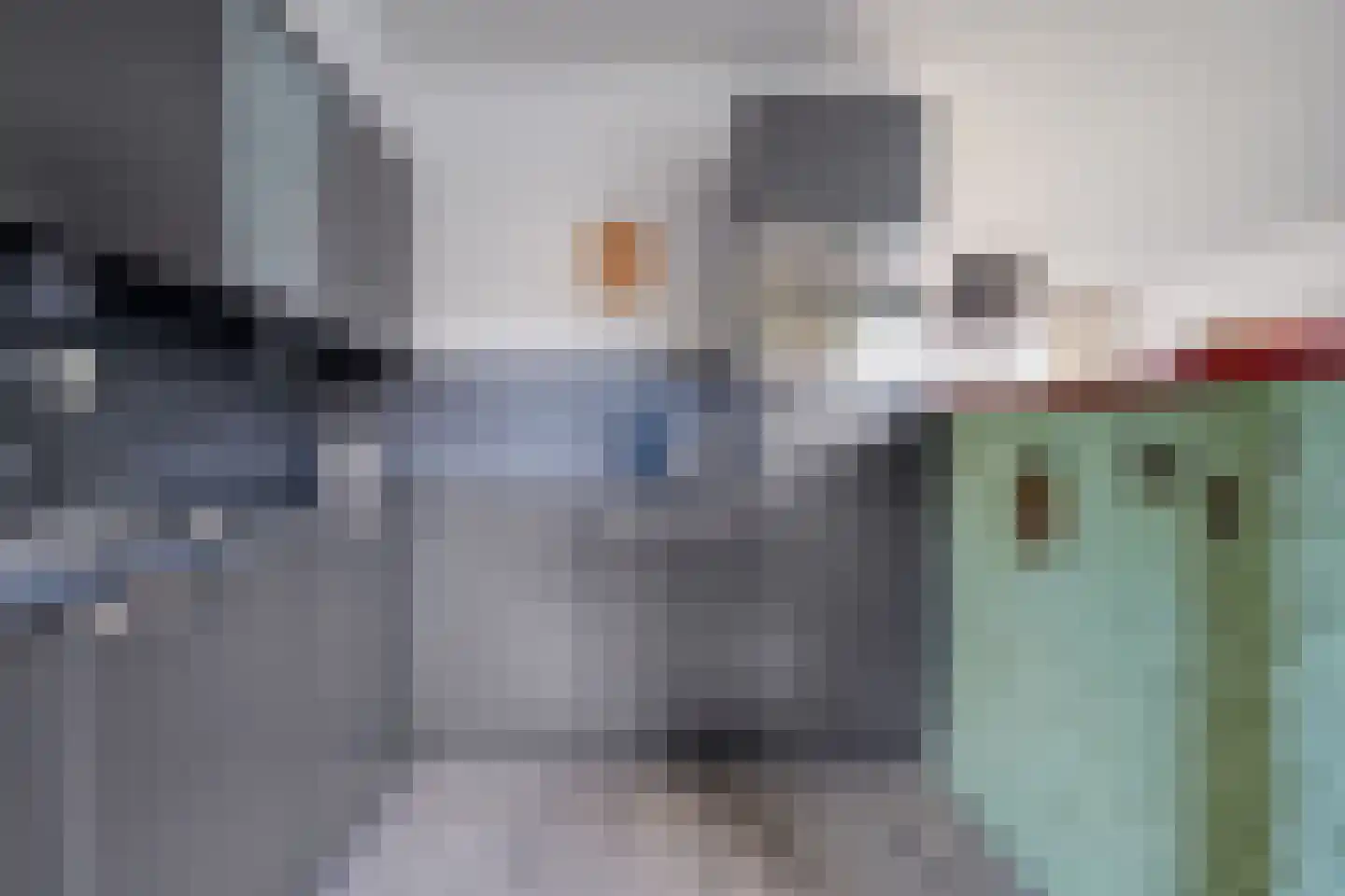 De Roerdomp 18 Dedemsvaart thumbnail 18