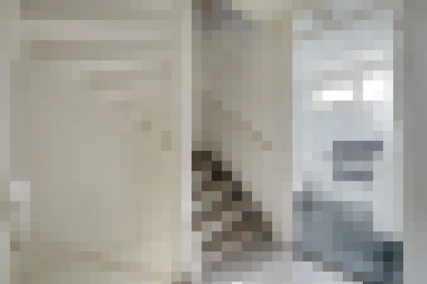 De Roerdomp 18 Dedemsvaart thumbnail 19