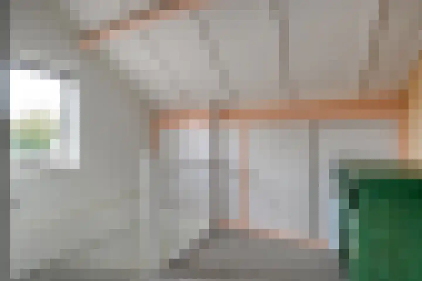 De Roerdomp 18 Dedemsvaart thumbnail 30