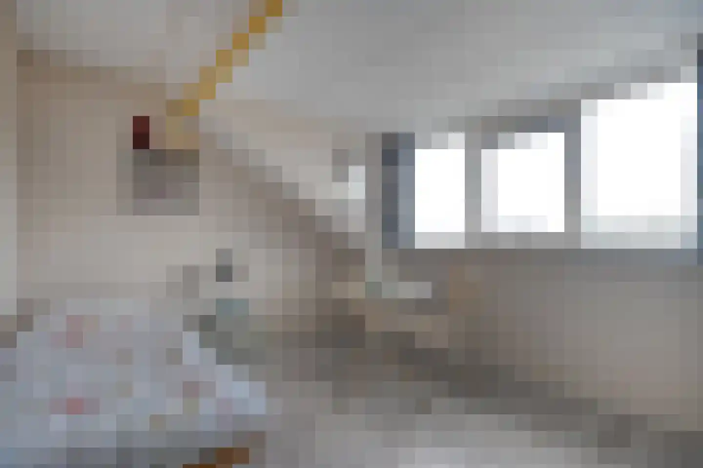 De Roerdomp 18 Dedemsvaart thumbnail 32