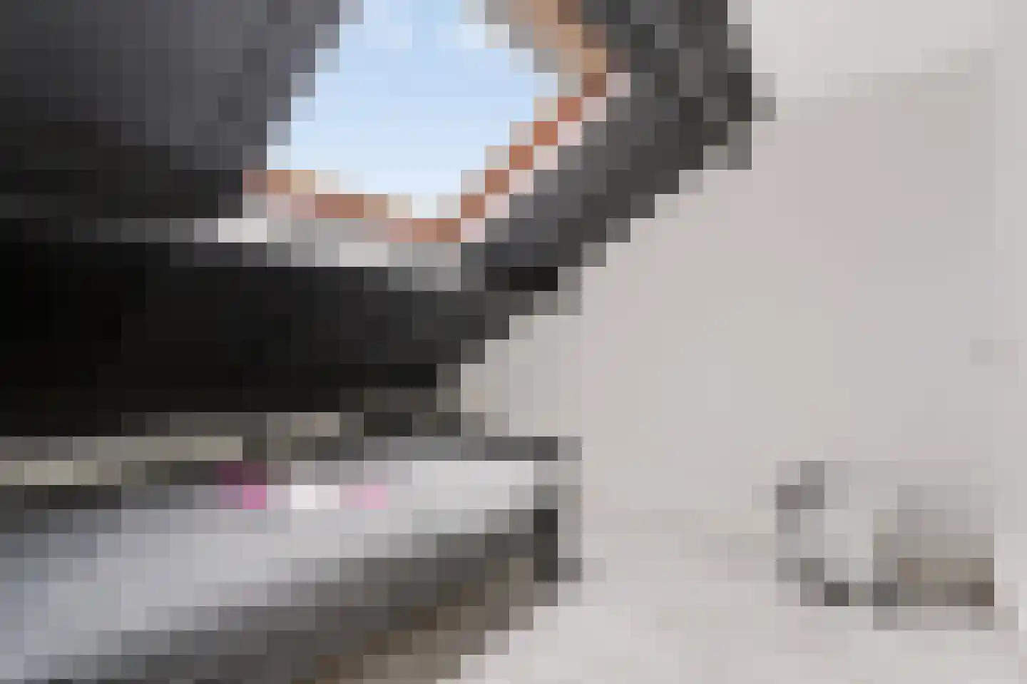 De Roerdomp 18 Dedemsvaart thumbnail 34
