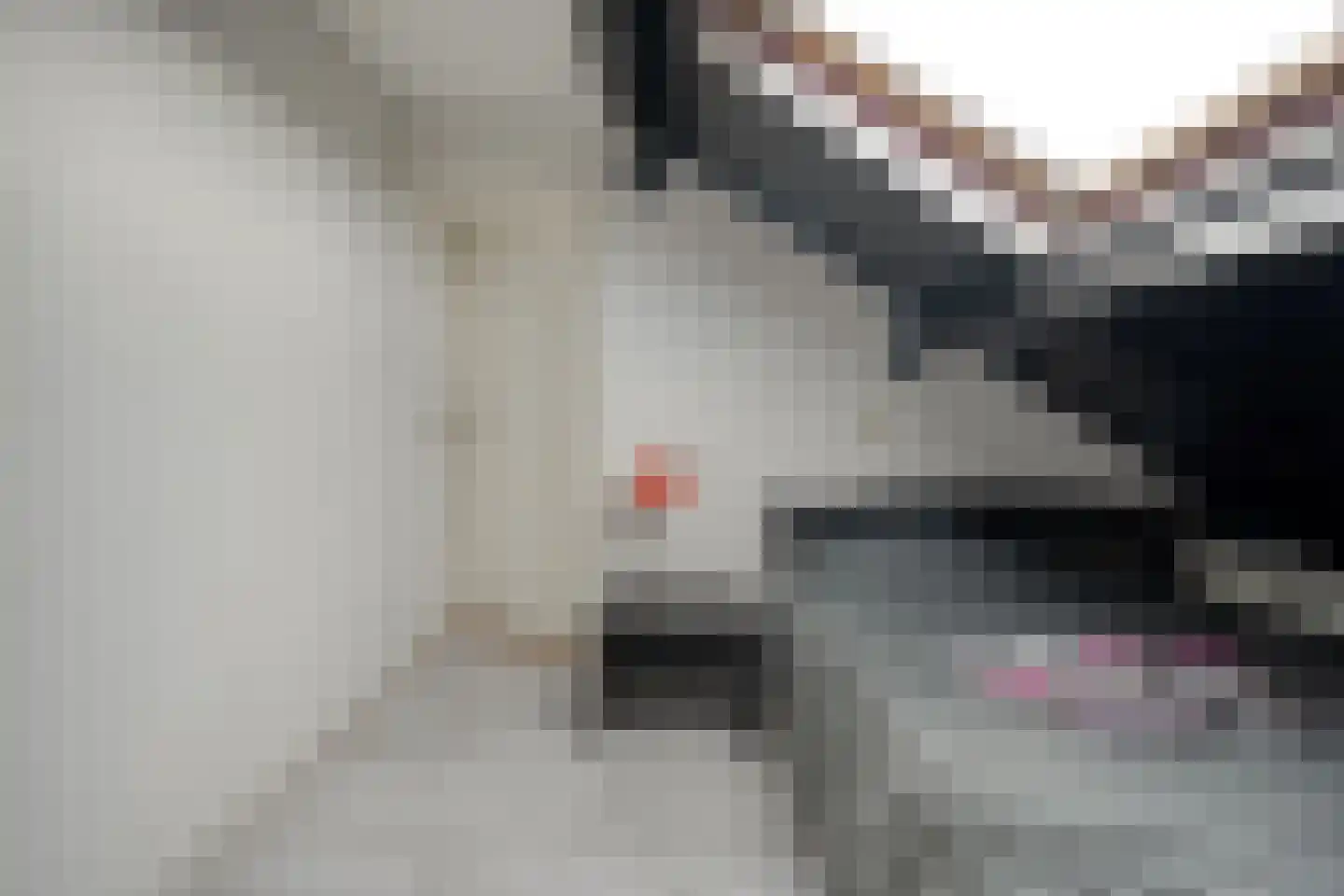 De Roerdomp 18 Dedemsvaart thumbnail 35