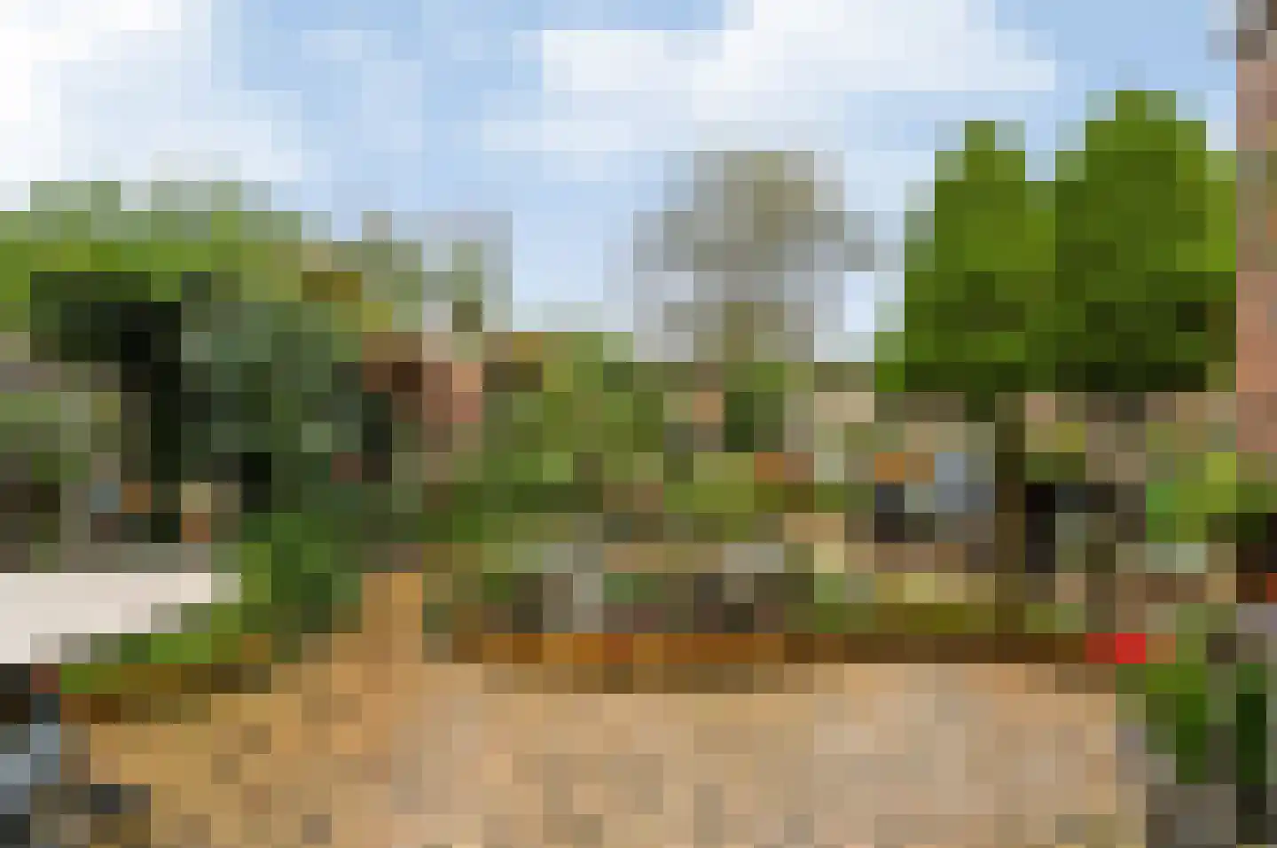 De Roerdomp 18 Dedemsvaart thumbnail 36