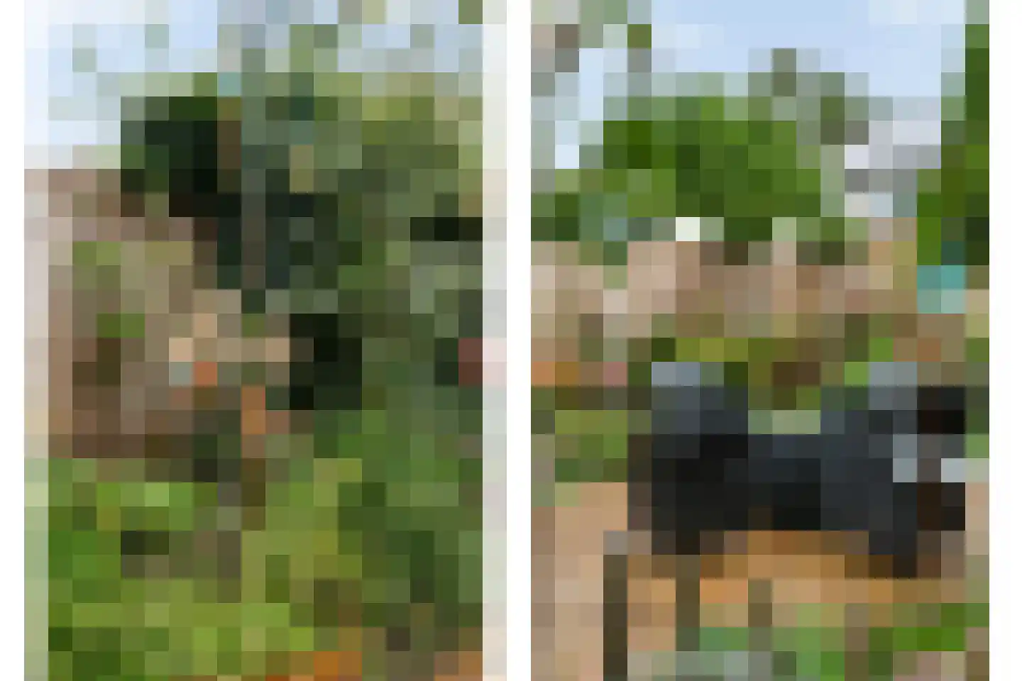 De Roerdomp 18 Dedemsvaart thumbnail 38