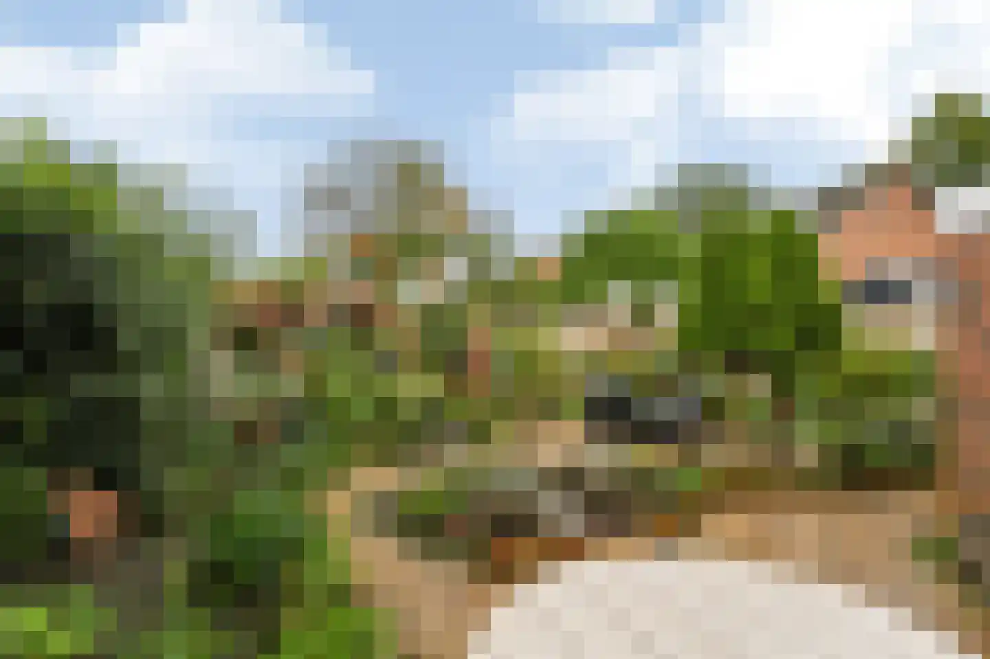 De Roerdomp 18 Dedemsvaart thumbnail 39