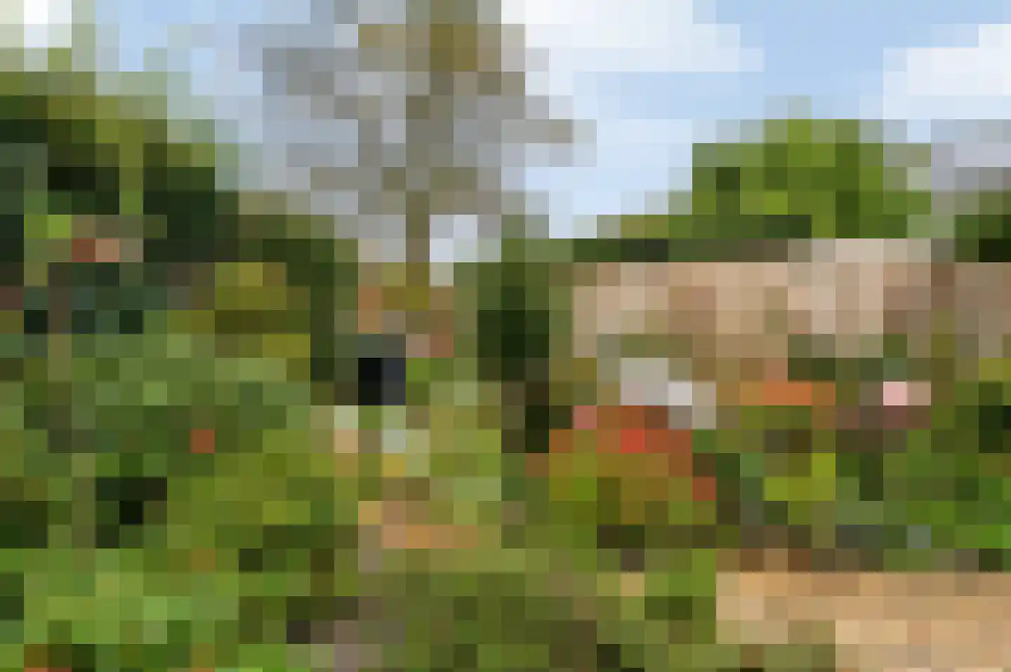 De Roerdomp 18 Dedemsvaart thumbnail 41