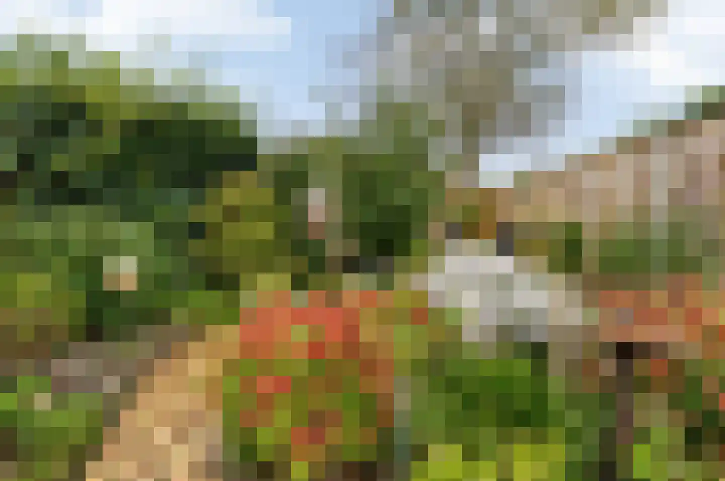 De Roerdomp 18 Dedemsvaart thumbnail 43