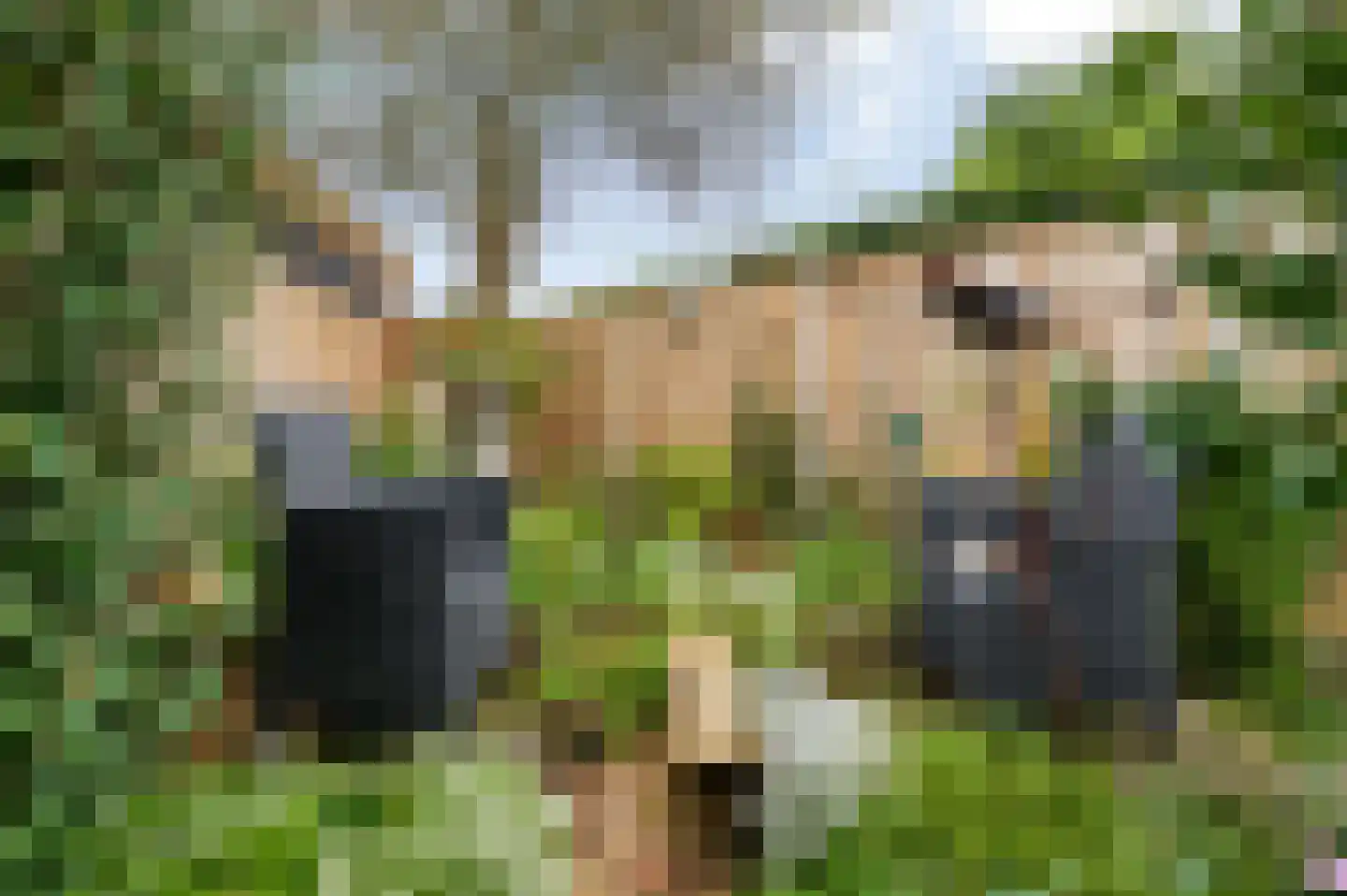 De Roerdomp 18 Dedemsvaart thumbnail 44