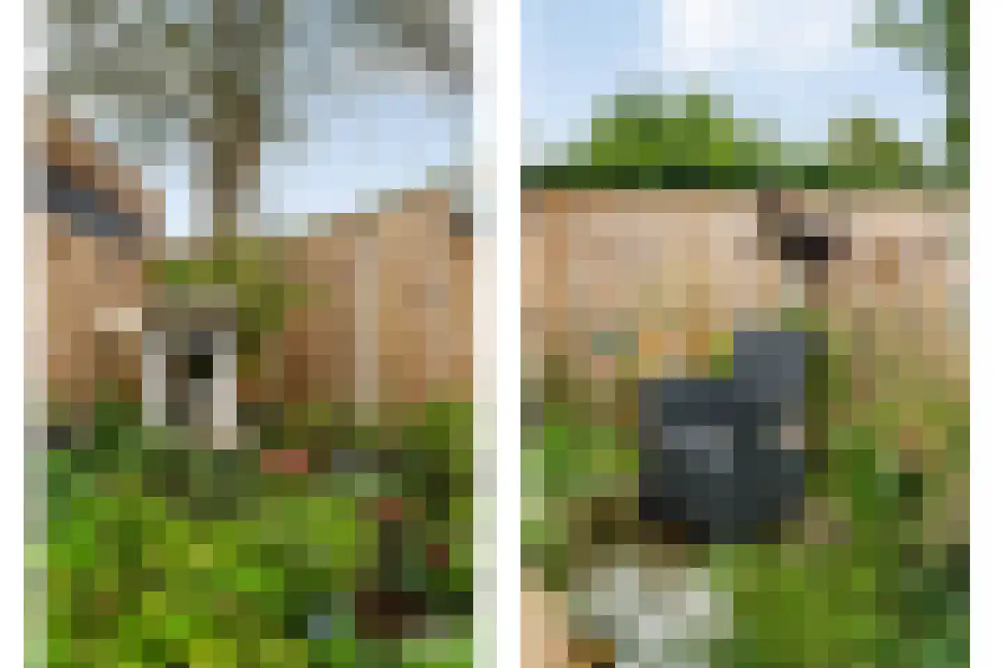 De Roerdomp 18 Dedemsvaart thumbnail 45