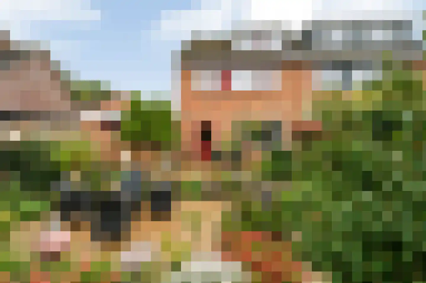 De Roerdomp 18 Dedemsvaart thumbnail 47