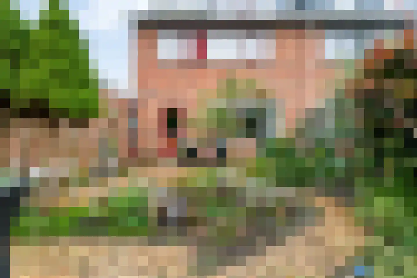 De Roerdomp 18 Dedemsvaart thumbnail 48