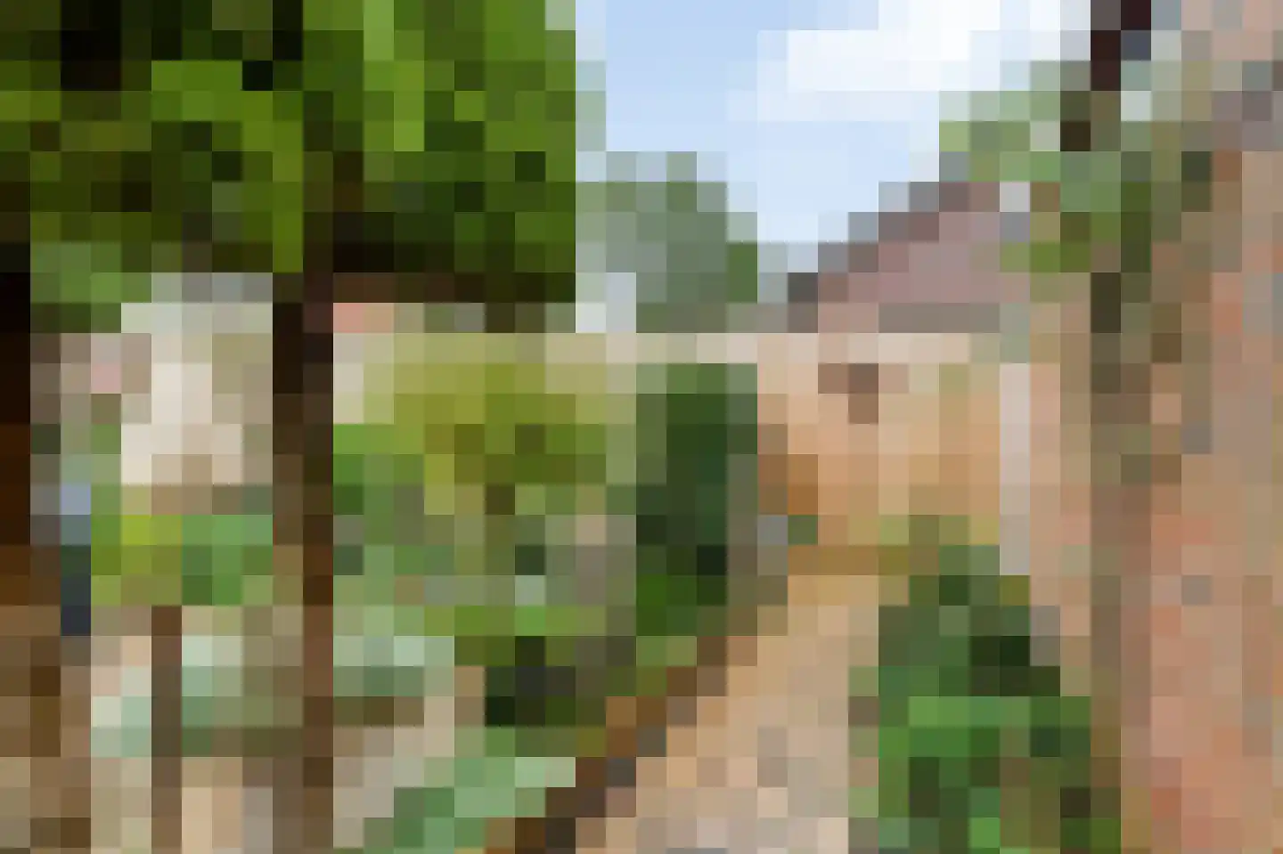 De Roerdomp 18 Dedemsvaart thumbnail 49