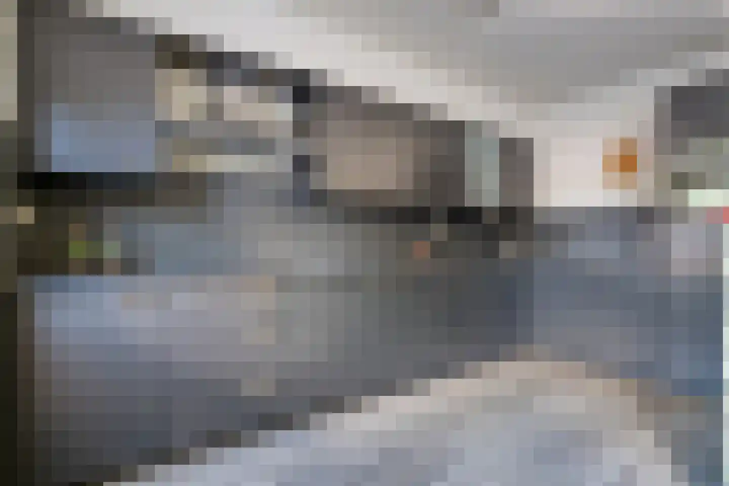 De Roerdomp 18 Dedemsvaart thumbnail 5