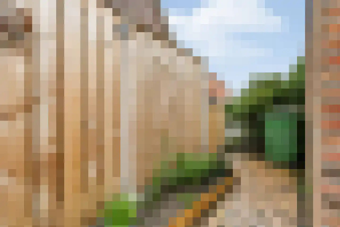 De Roerdomp 18 Dedemsvaart thumbnail 50