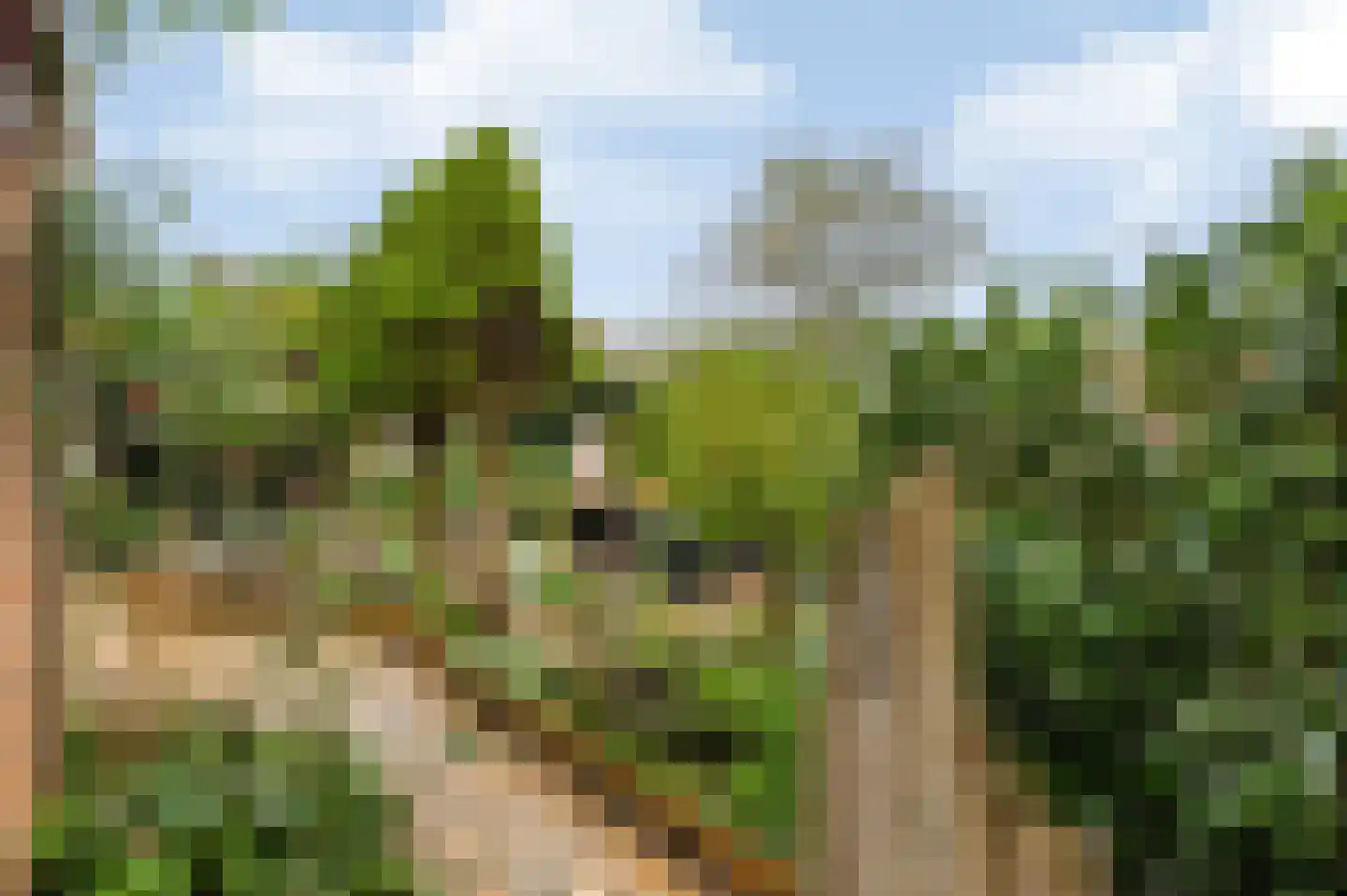 De Roerdomp 18 Dedemsvaart thumbnail 51
