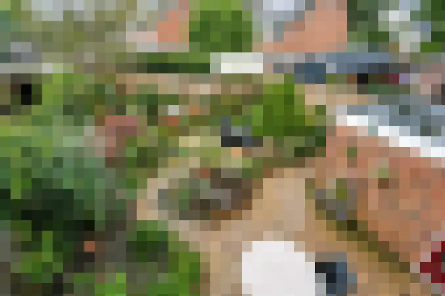 De Roerdomp 18 Dedemsvaart thumbnail 53