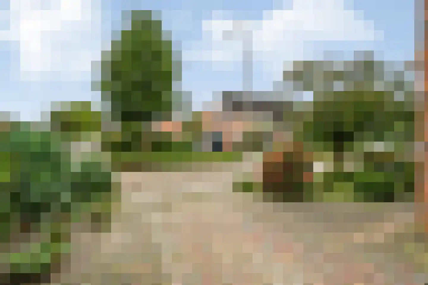 De Roerdomp 18 Dedemsvaart thumbnail 55