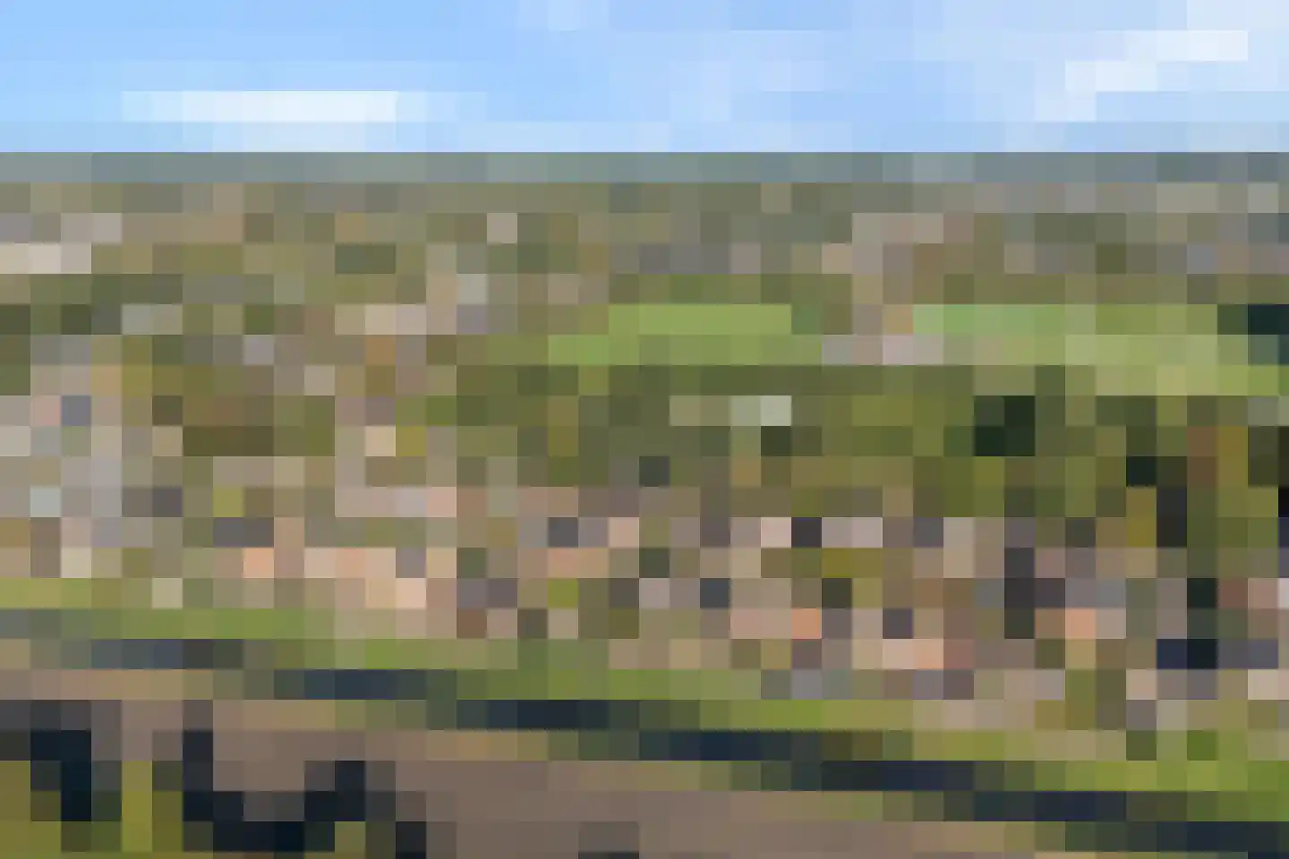 De Roerdomp 18 Dedemsvaart thumbnail 59