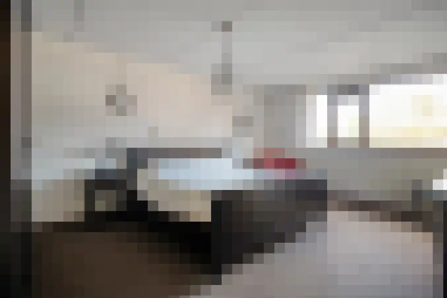 De Roerdomp 18 Dedemsvaart thumbnail 6