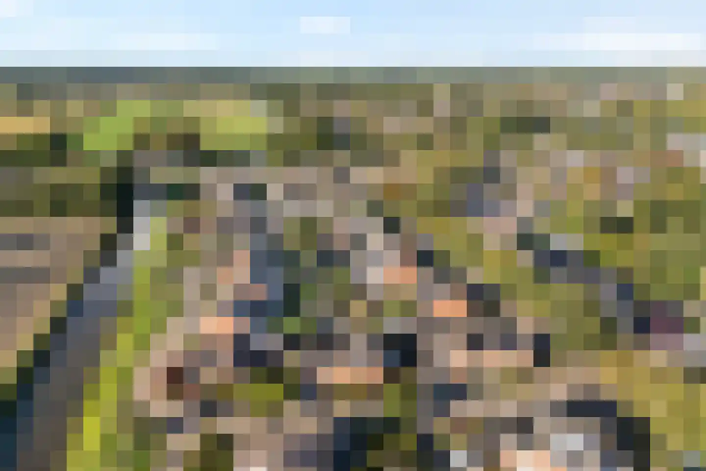 De Roerdomp 18 Dedemsvaart thumbnail 60