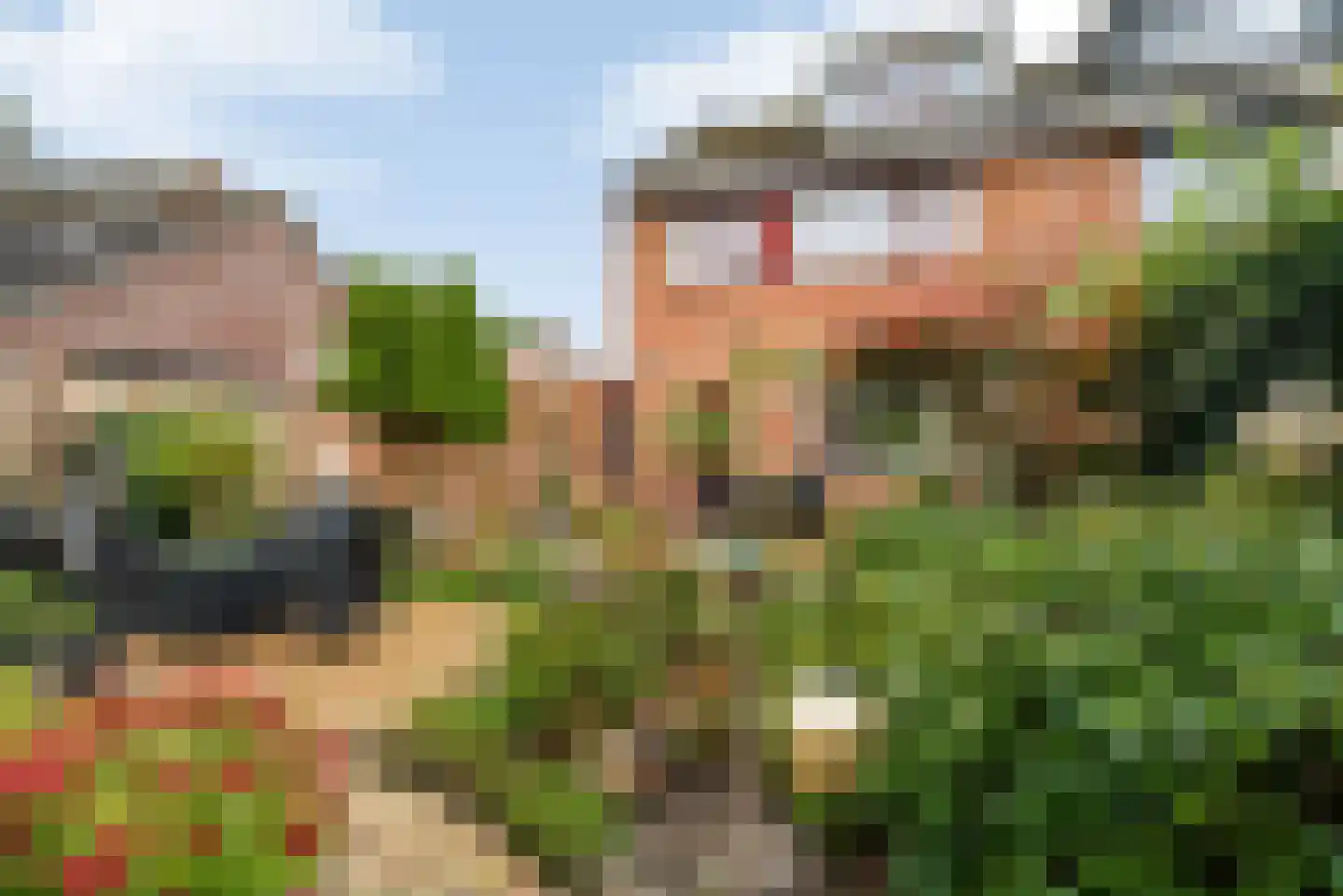 De Roerdomp 18 Dedemsvaart thumbnail 7