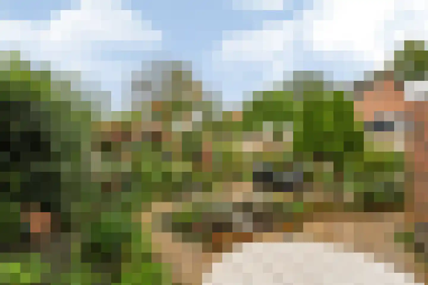 De Roerdomp 18 Dedemsvaart thumbnail 8