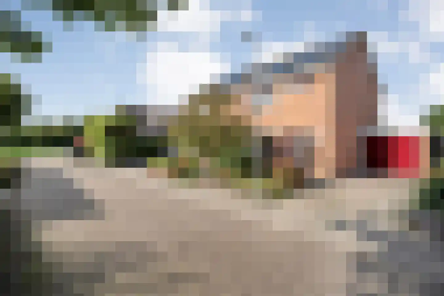 De Roerdomp 18 Dedemsvaart thumbnail 9