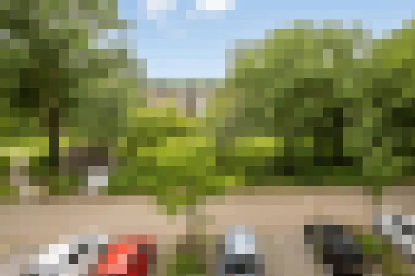 De Roerdomp 18 Purmerend thumbnail 19