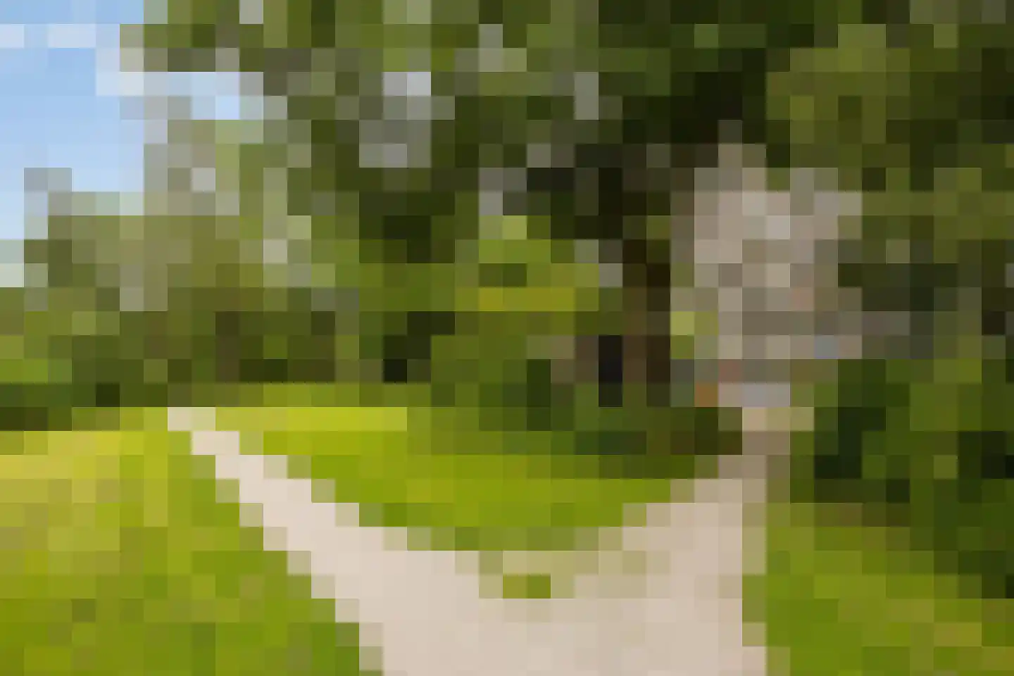 De Roerdomp 18 Purmerend thumbnail 31