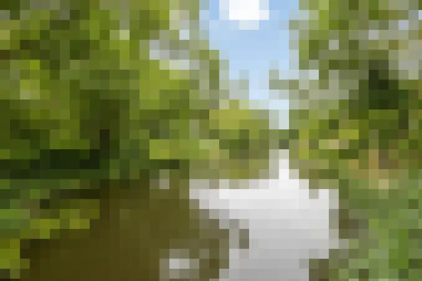 De Roerdomp 18 Purmerend thumbnail 32