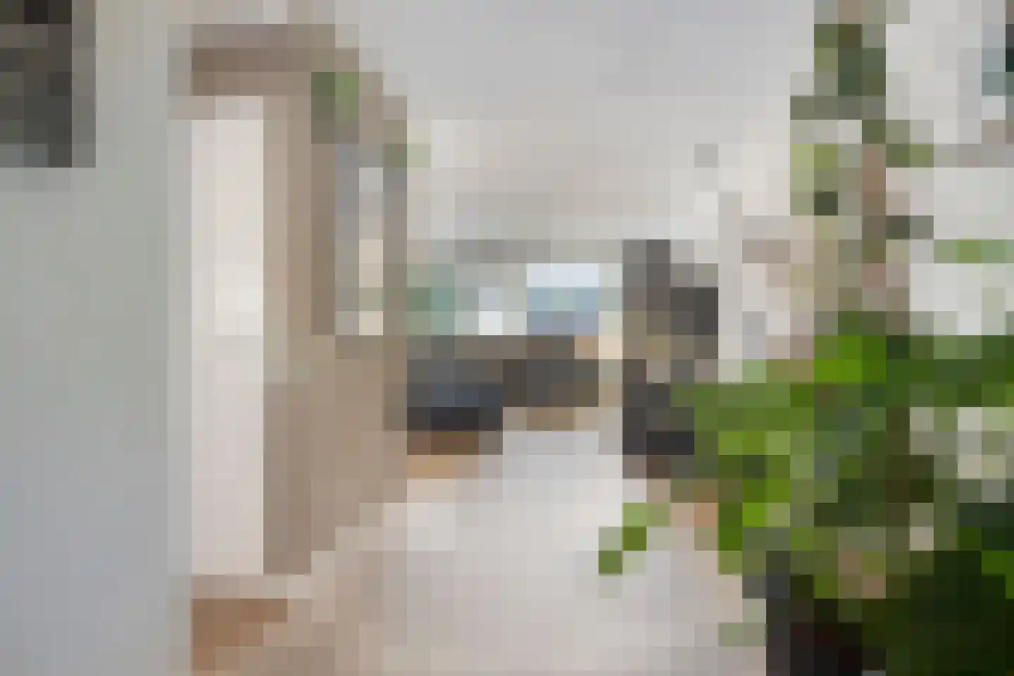 De Roerdomp 19 Purmerend thumbnail 12