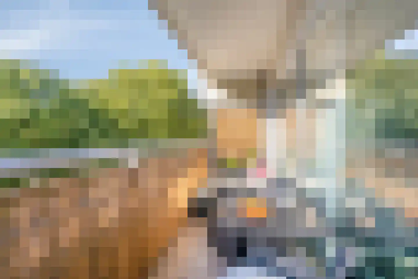 De Roerdomp 19 Purmerend thumbnail 21