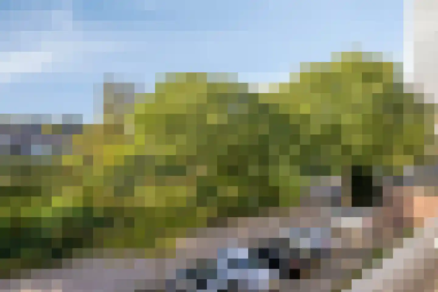 De Roerdomp 19 Purmerend thumbnail 22
