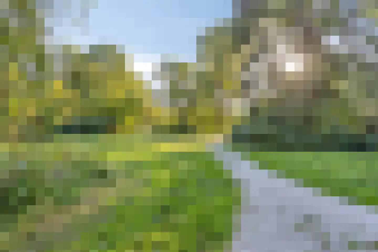De Roerdomp 19 Purmerend thumbnail 23