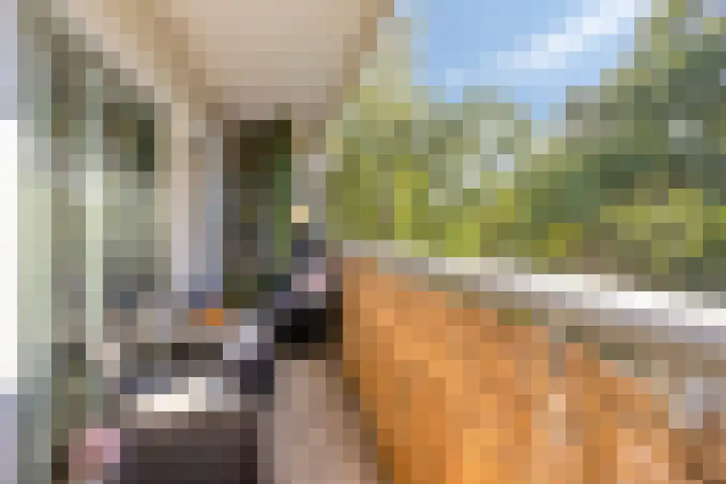 De Roerdomp 19 Purmerend thumbnail 6