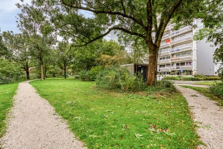 De Roerdomp 26 Purmerend thumbnail 27