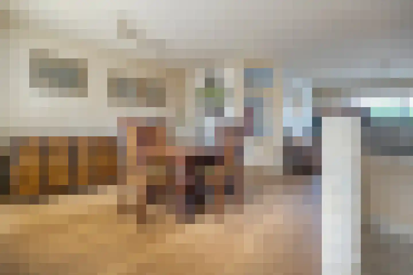 De Roerdomp 34 Dedemsvaart thumbnail 10