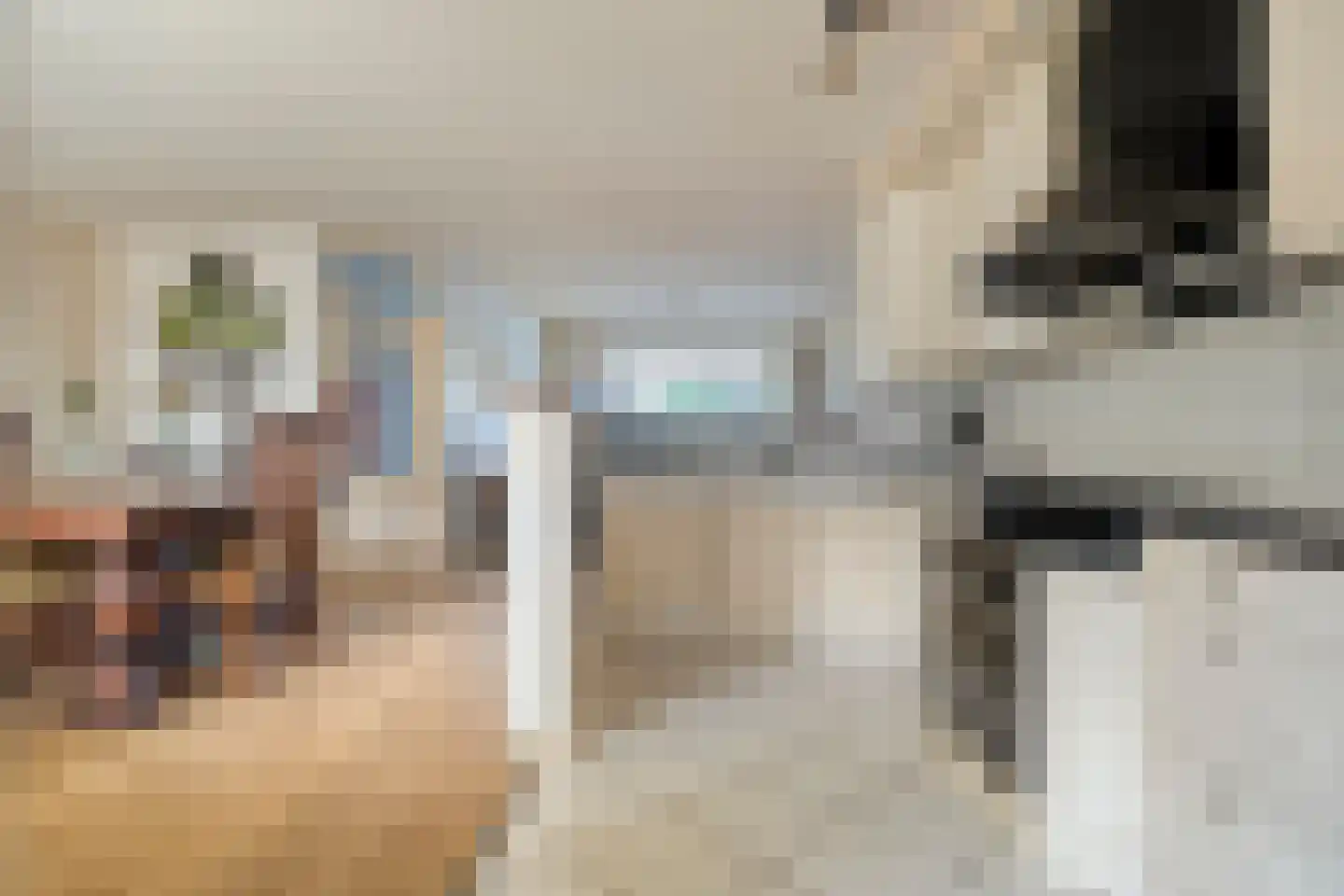 De Roerdomp 34 Dedemsvaart thumbnail 12