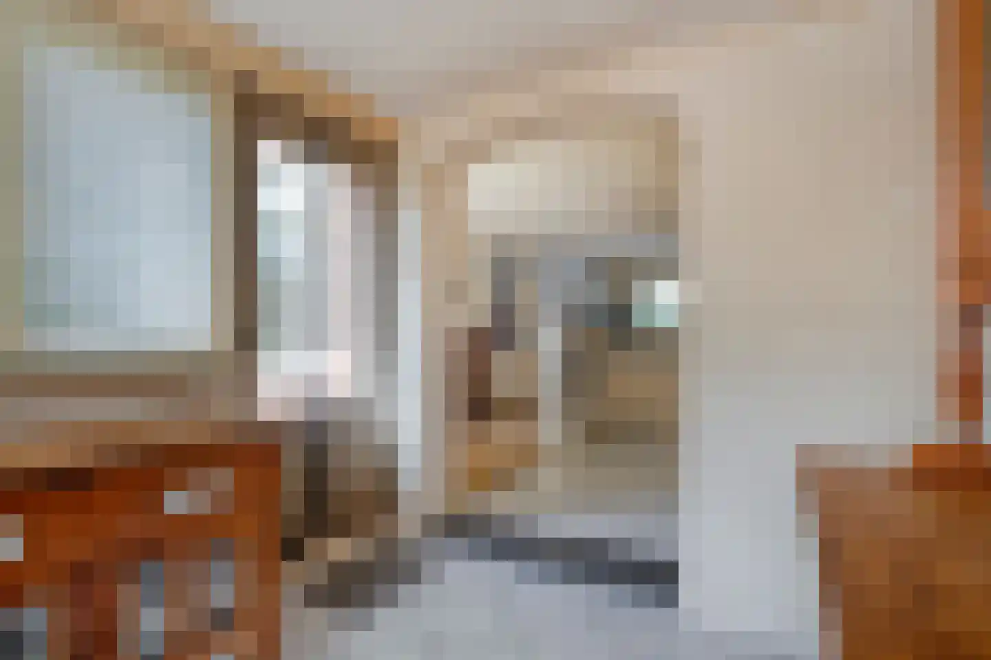 De Roerdomp 34 Dedemsvaart thumbnail 13