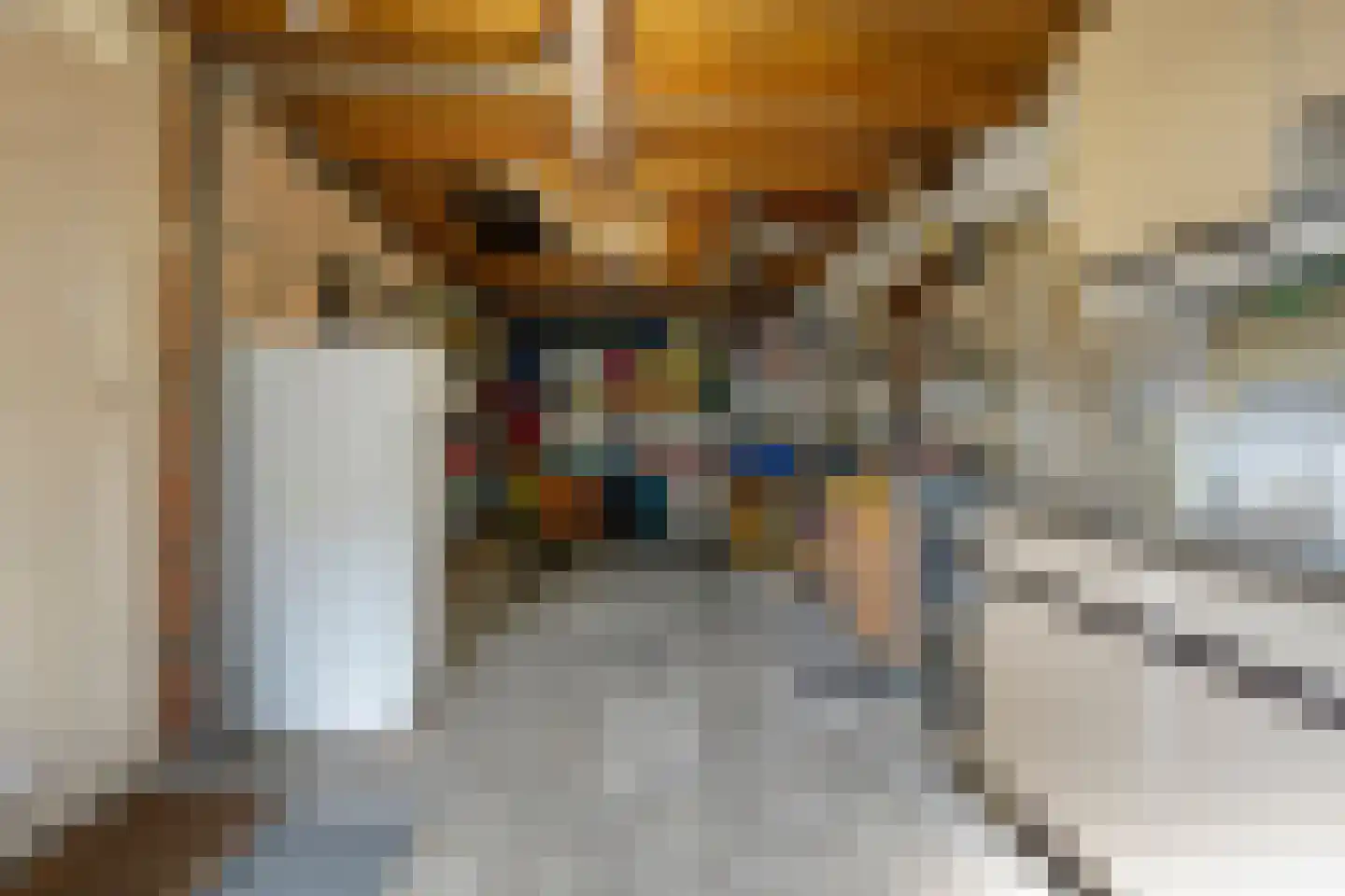 De Roerdomp 34 Dedemsvaart thumbnail 15