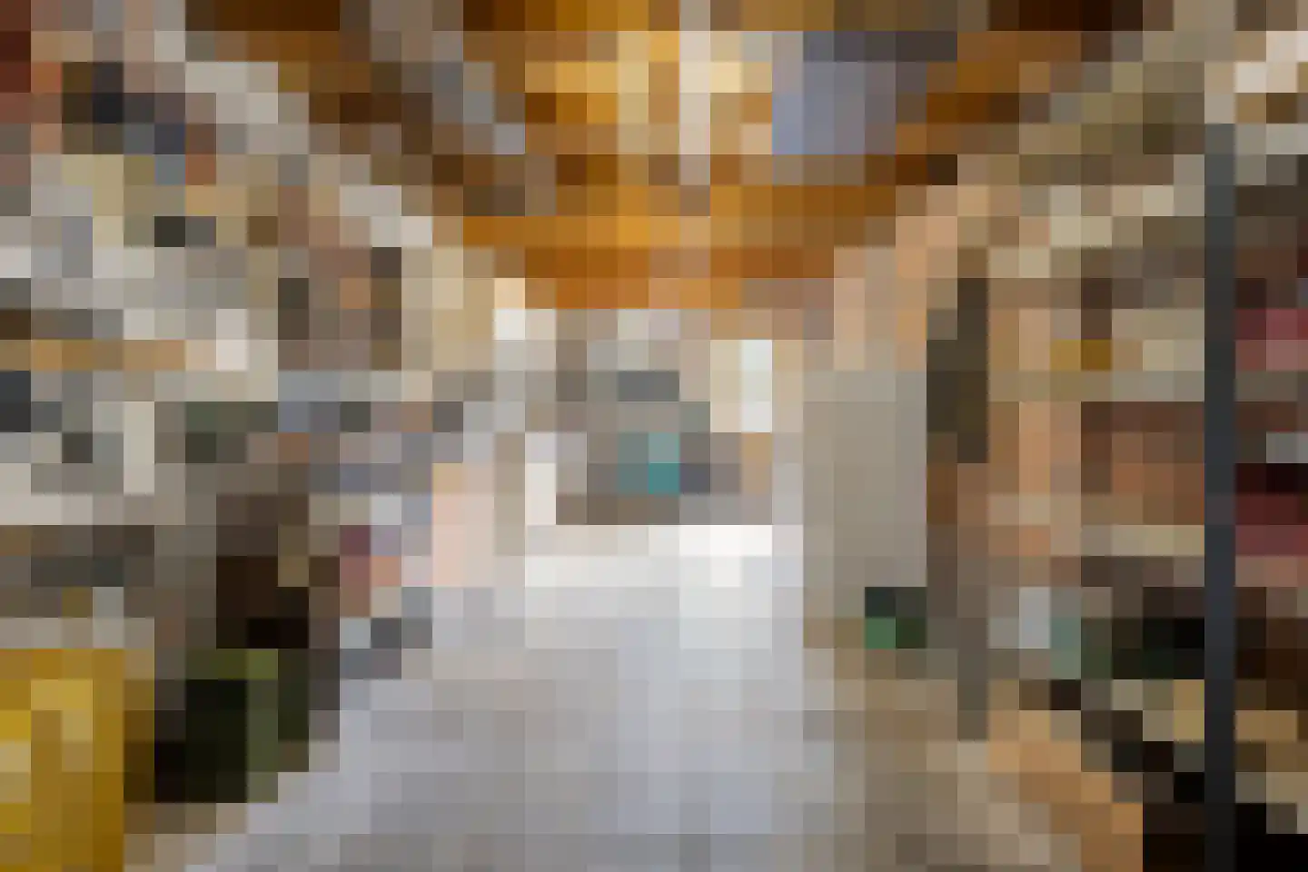 De Roerdomp 34 Dedemsvaart thumbnail 16