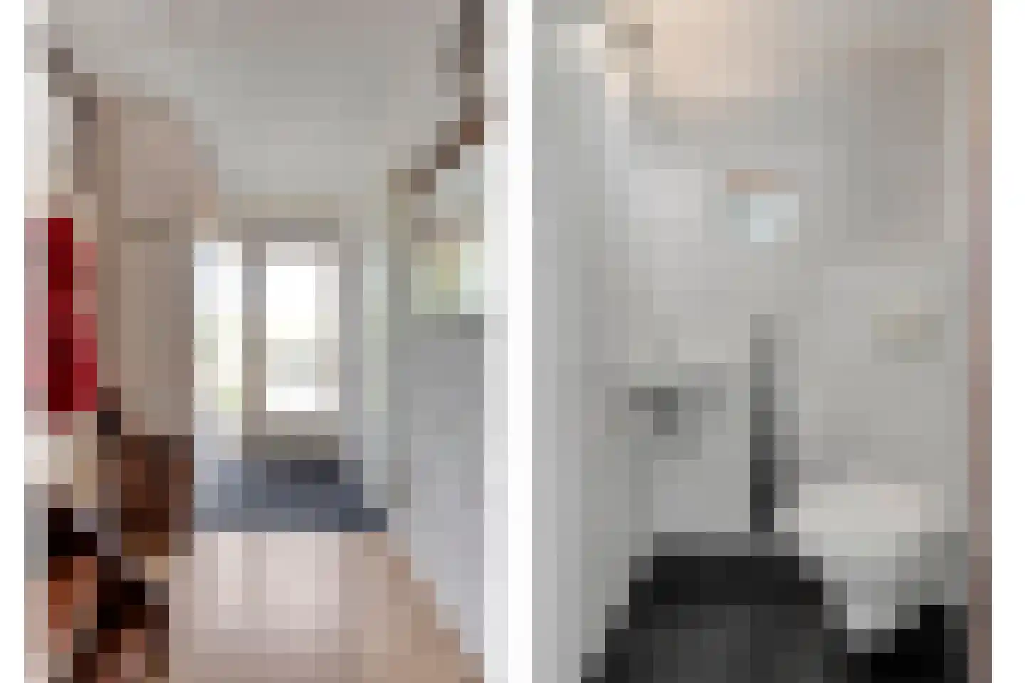 De Roerdomp 34 Dedemsvaart thumbnail 17
