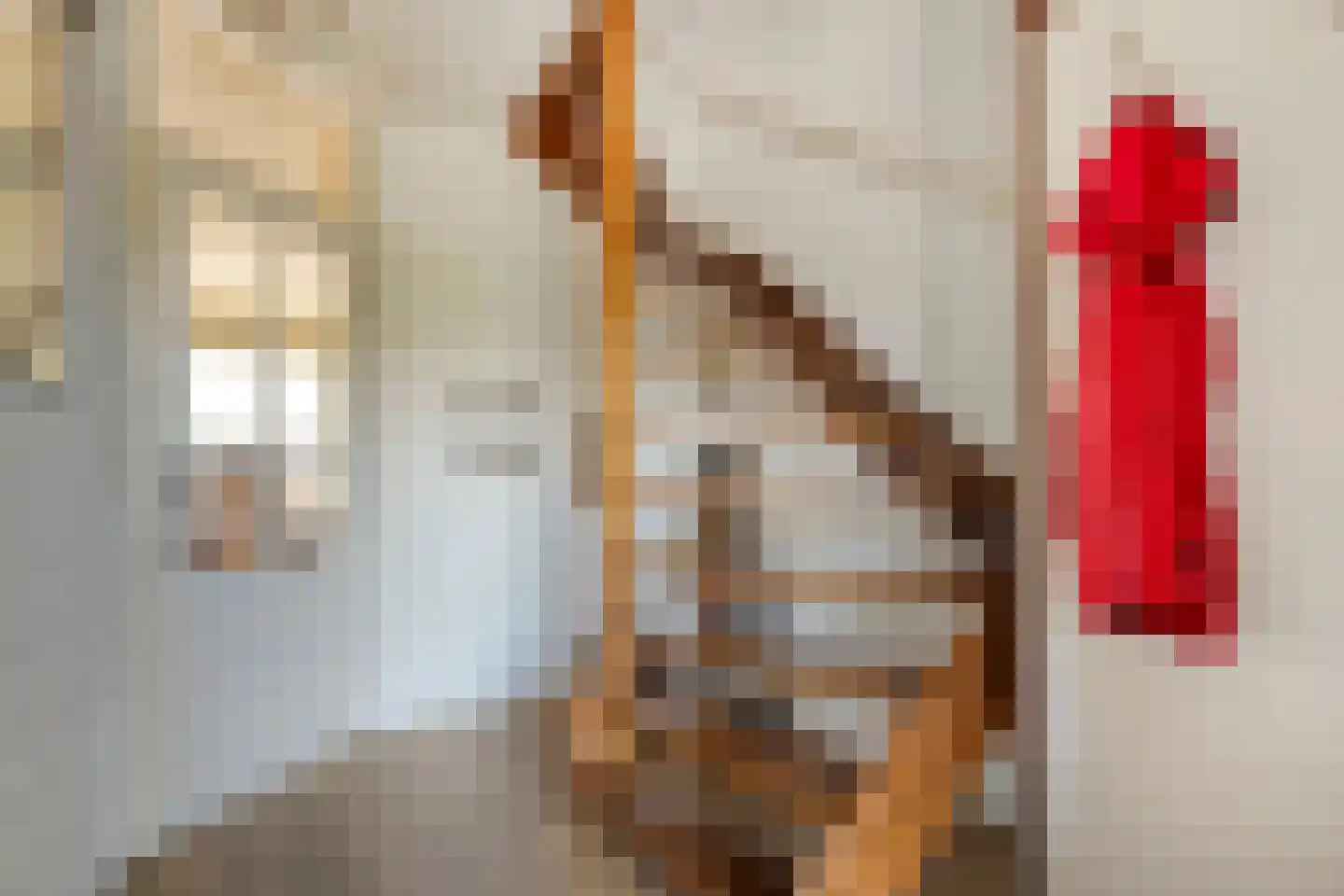 De Roerdomp 34 Dedemsvaart thumbnail 18