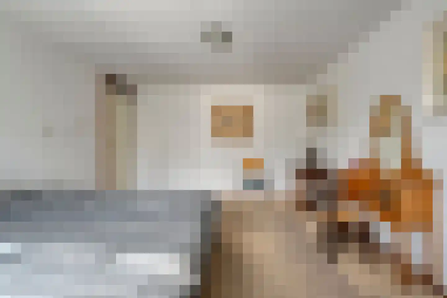 De Roerdomp 34 Dedemsvaart thumbnail 20