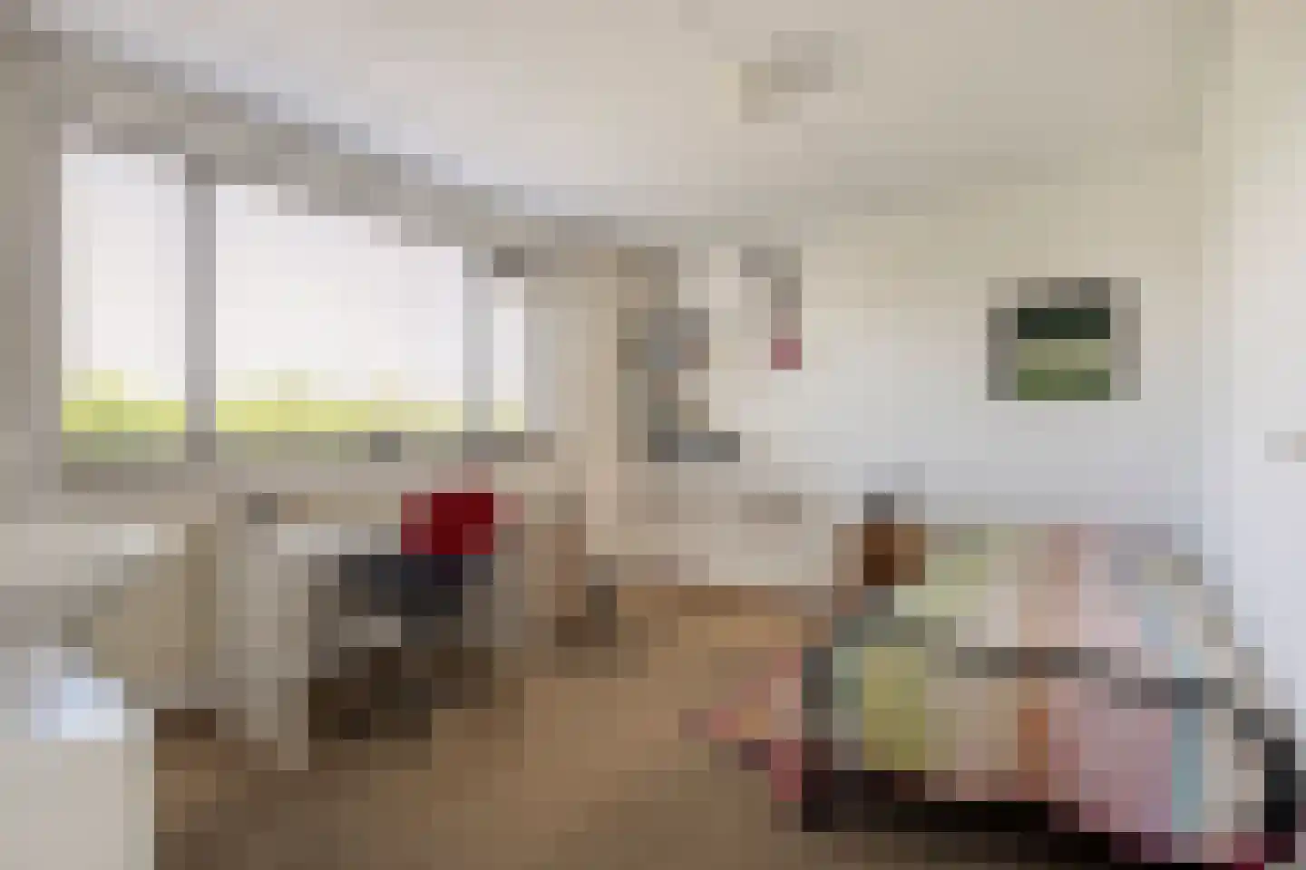 De Roerdomp 34 Dedemsvaart thumbnail 23
