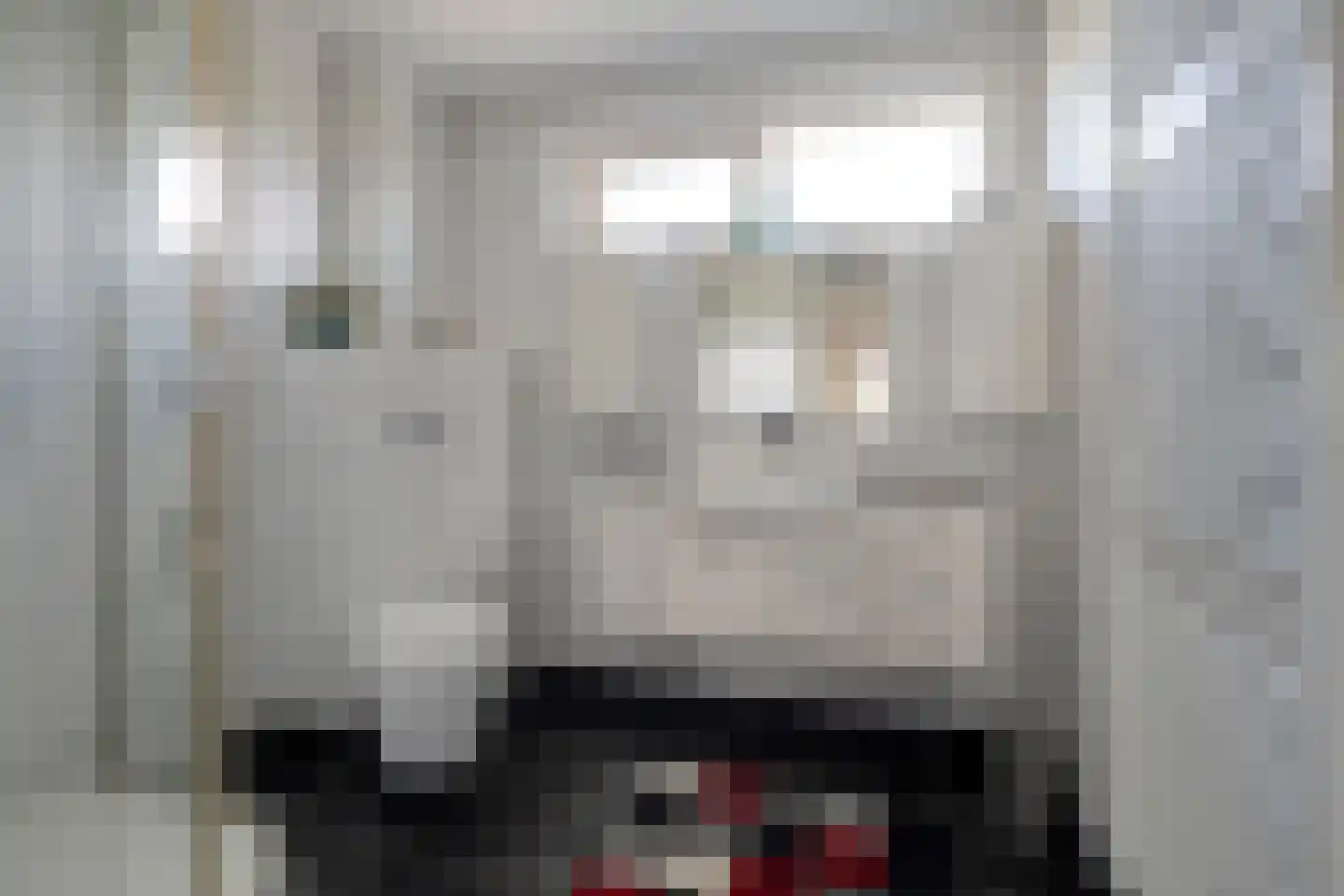 De Roerdomp 34 Dedemsvaart thumbnail 25