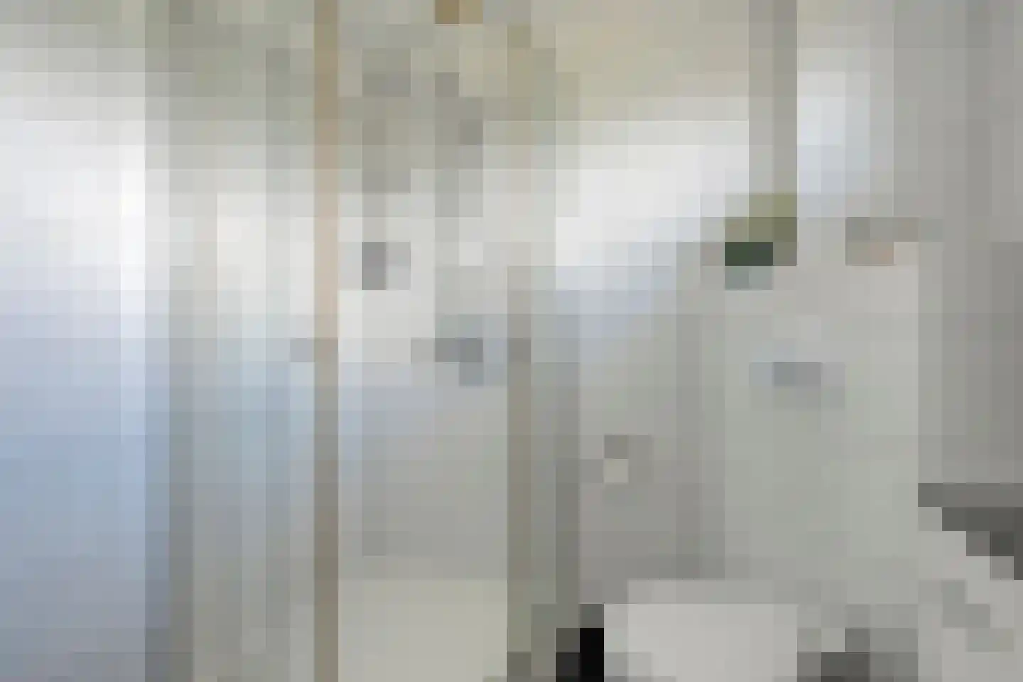 De Roerdomp 34 Dedemsvaart thumbnail 26