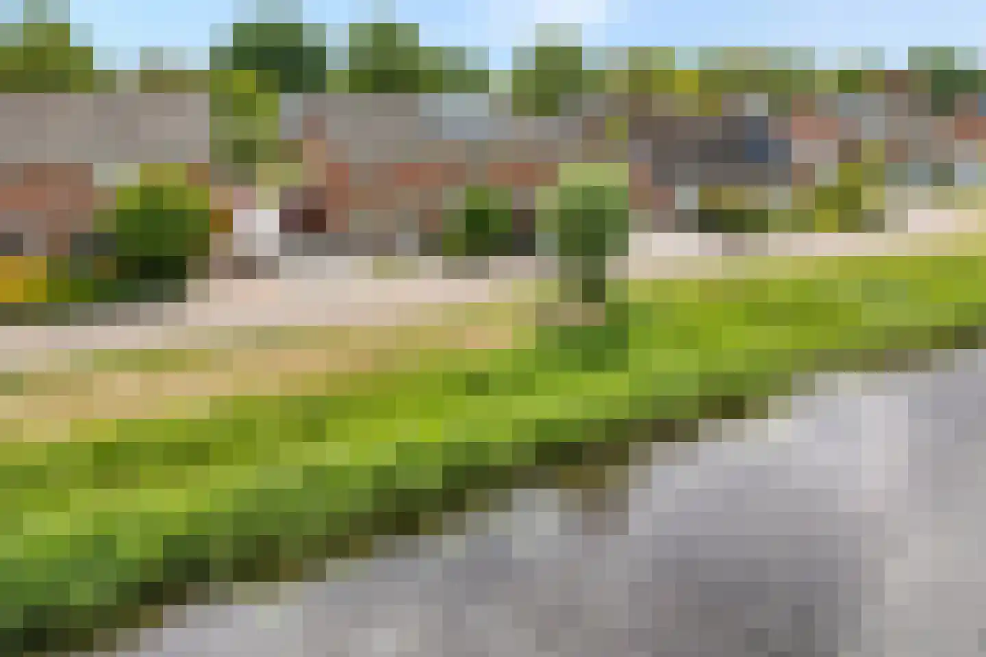 De Roerdomp 34 Dedemsvaart foto 3