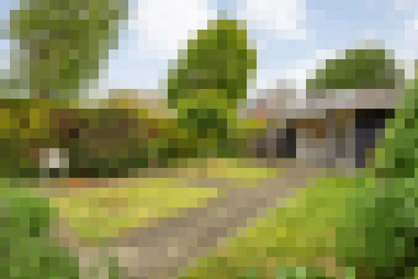 De Roerdomp 34 Dedemsvaart thumbnail 30